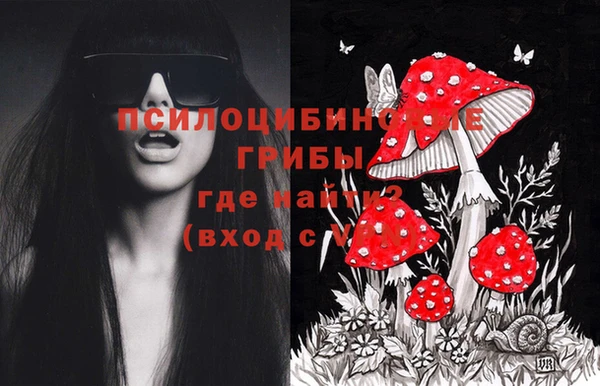 шишки Алексеевка