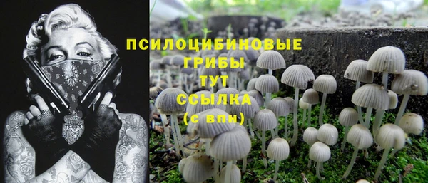 спайс Арсеньев