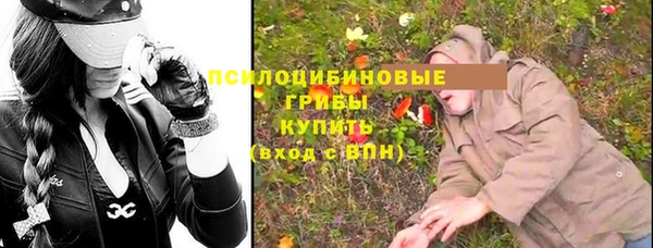 спайс Арсеньев
