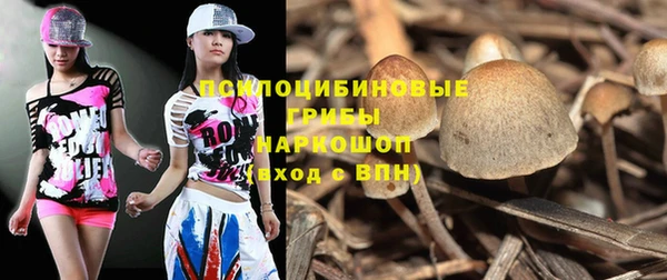 молекула духа Алексин